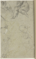 B 095
<br/>
Boetende Heilige met kruis en schedel
<br/>
<em>Procaccini (II), Ercole (ca. 1596-1676) - toegeschreven aan</em>